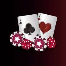 Fish game and bingo entertainment categories on 311jilipark